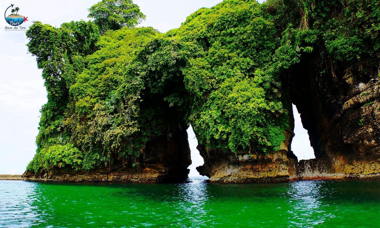 Isla Pájaros: Descubre lo más maravilloso de este lugar